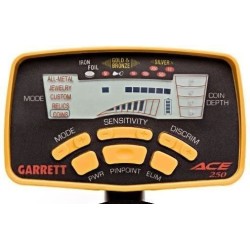 Garrett ACE 250